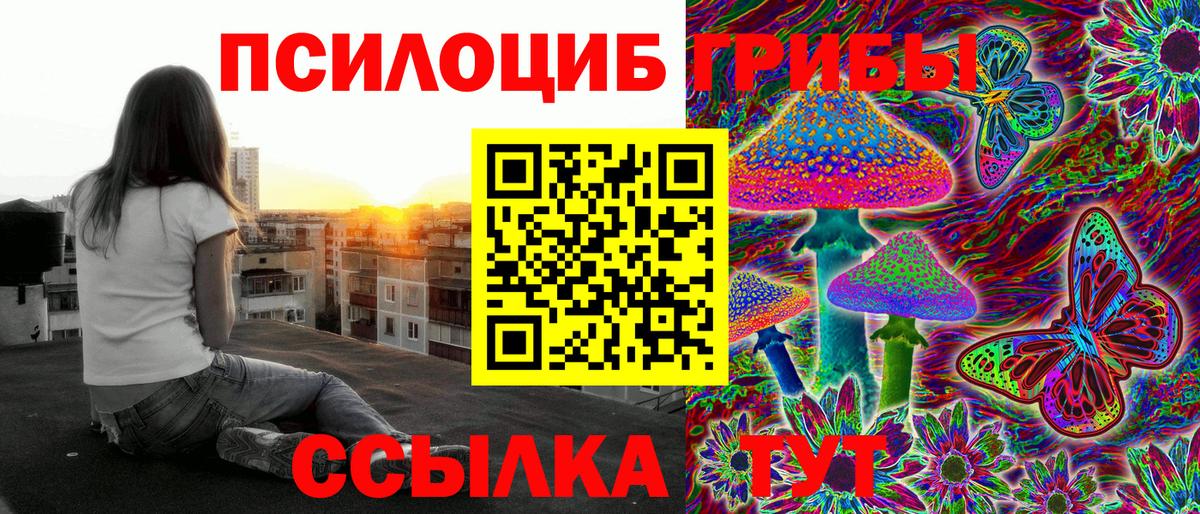 Псилоцибиновые грибы мухоморы  Вход с VPN  Псилоцибиновые грибы Magic Shrooms  Полысаево 
