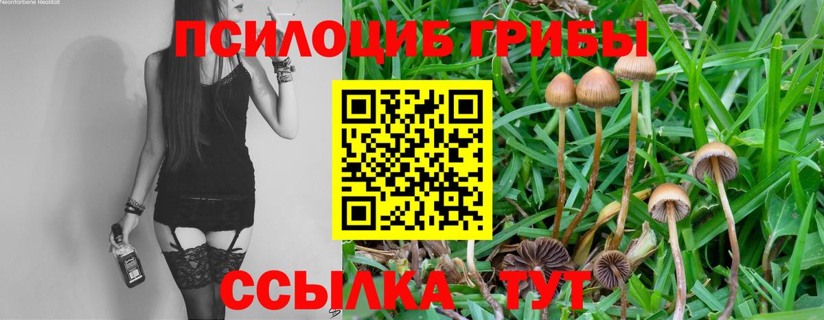 Псилоцибиновые грибы Magic Shrooms Полысаево
